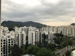 The Hillier (D23), Apartment #547287401